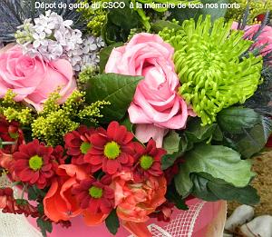 AOBR 2015 02 21 AIX EN PROVENCE AG DU CSCO (40)